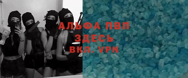 гидра Корсаков