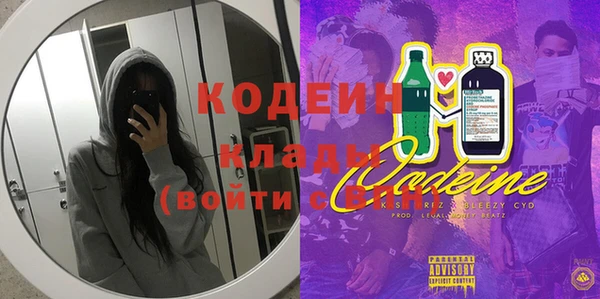 гидра Корсаков